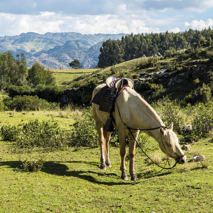 cusco horseback riding
