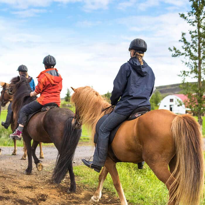 iceland reykjavik horseback riding tour