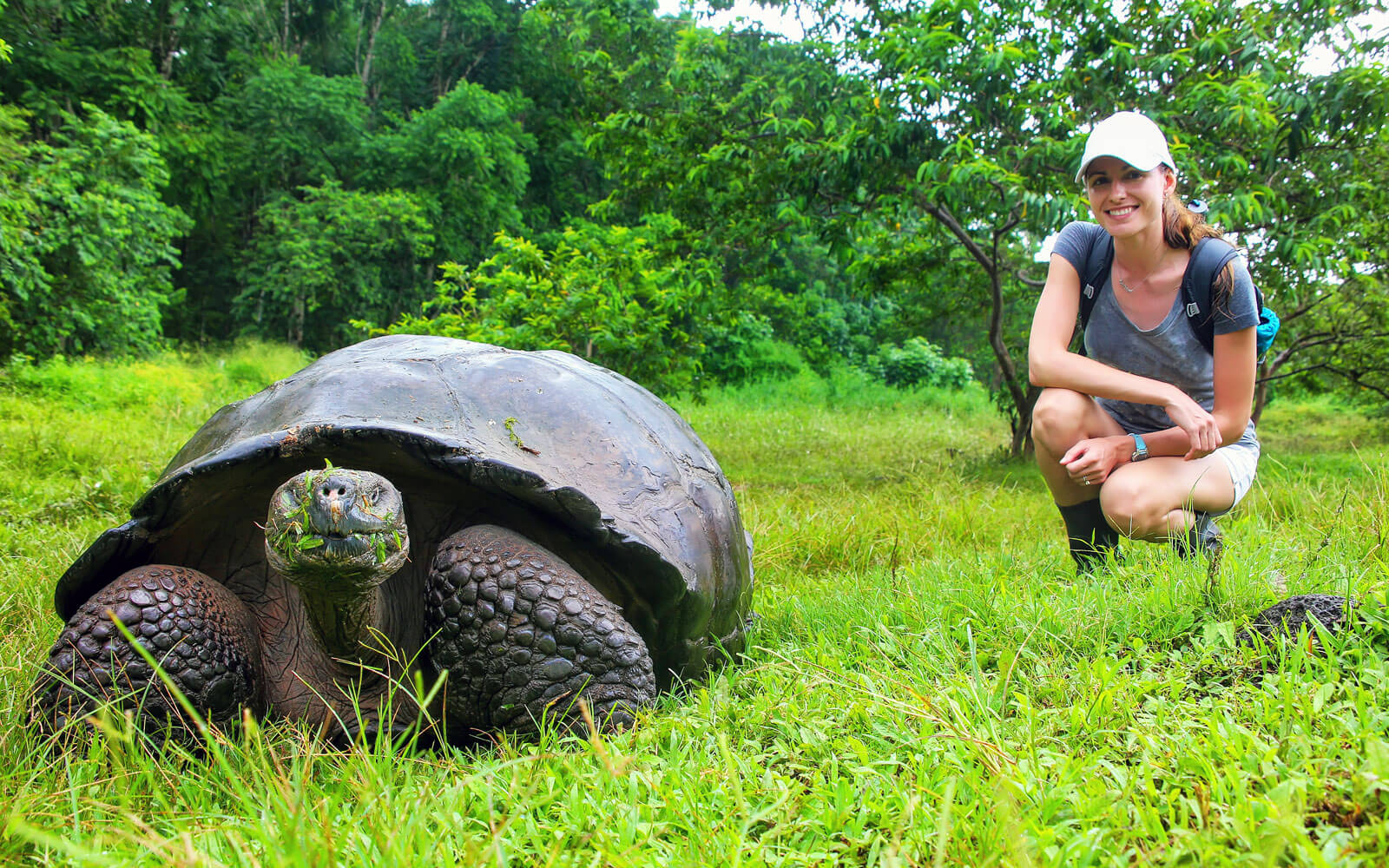 ecuador galapagos tour for solo travelers