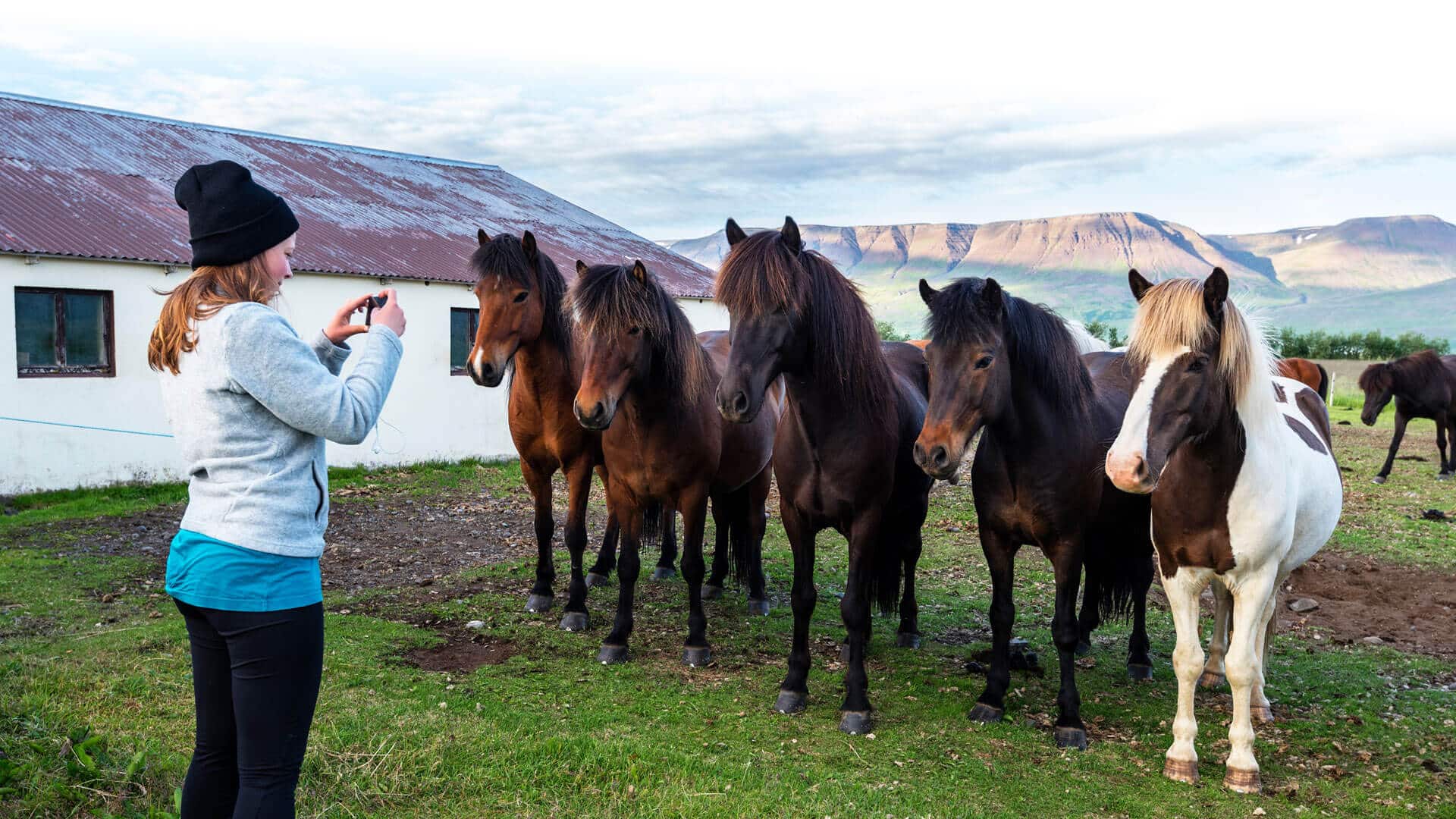 iceland summer program